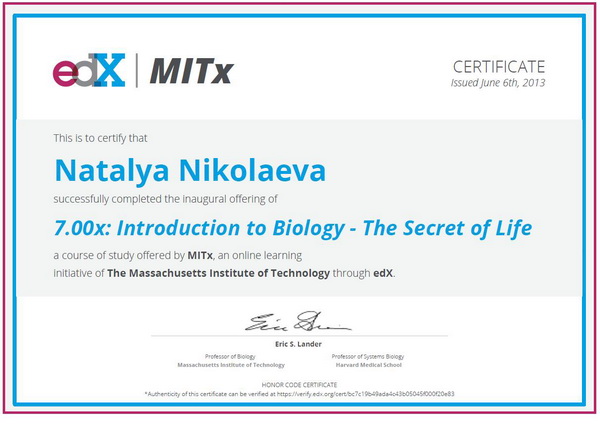 sertifikat nikolaeva